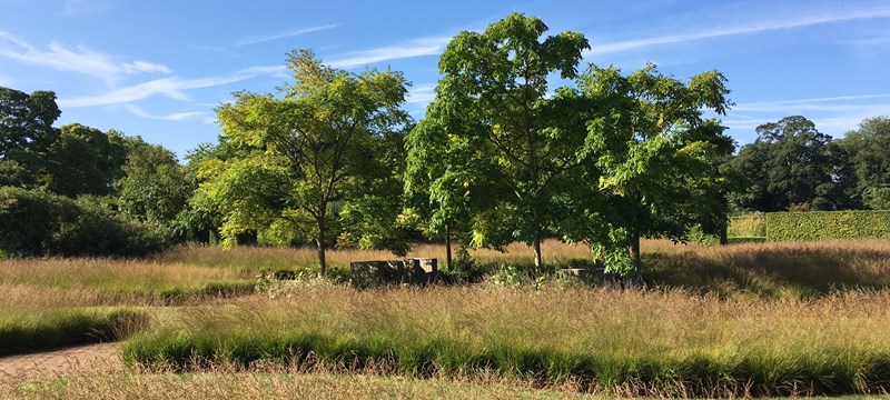 Photo of Scampston garden.