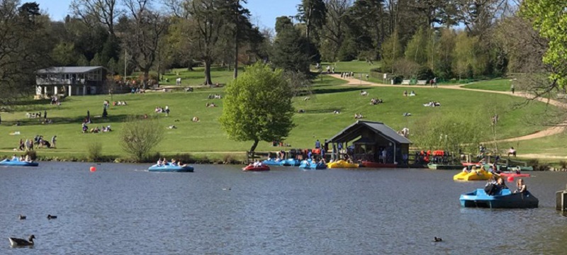 Photo of the boating lake in Dunorlan Park.