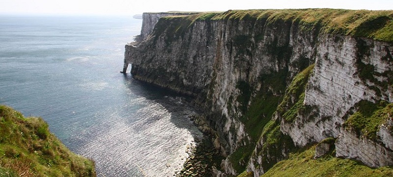 Photo of RSPB Bempton Cliffs.