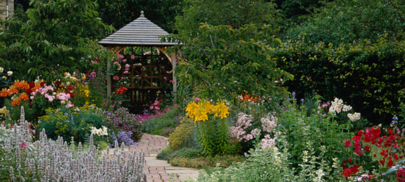 Photo of flowers in bloom at Barnsdale Gardens.