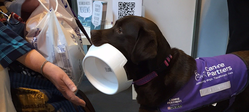 Photo of dog with water bowl.