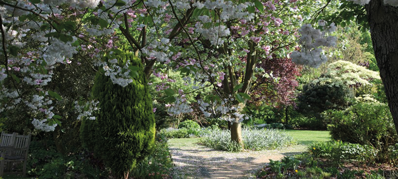 Image of a garden walk where sun shines through the trees.