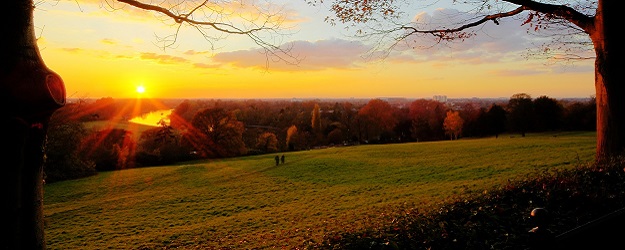 Photo of a stretch of grass at Marks Hall.