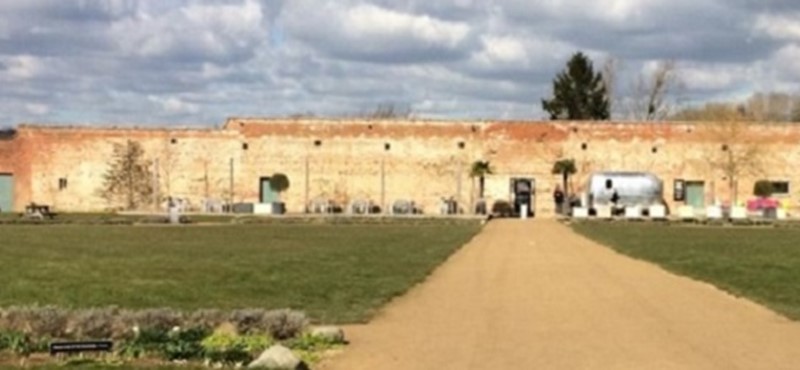 Photo of The Medicine Garden, a Victorian walled garden.