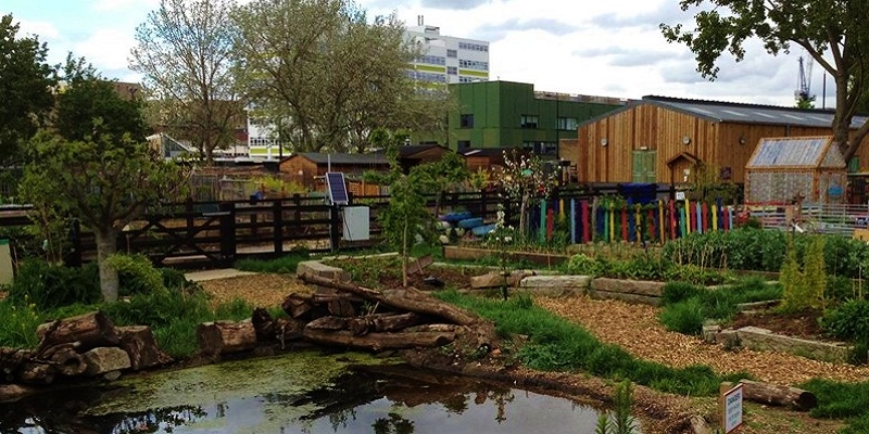 Photo of Stepney City Farm.