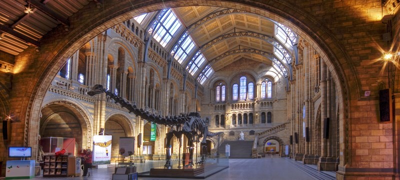 Natural History Museum.