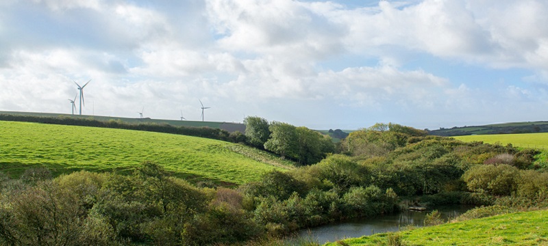 View of the surrounding scenery.