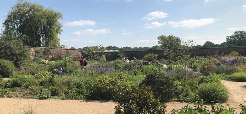 A photograph of a garden with blooming shrubs and a sand coloured path, with blue skies dotted with clouds