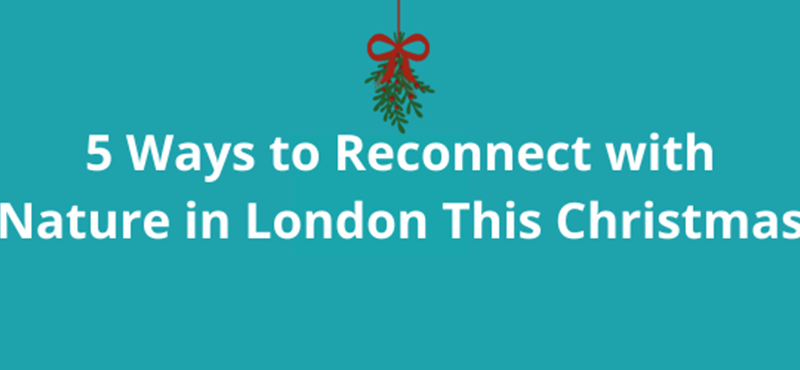 5 Ways to Reconnect with Nature in London This Christmas article image