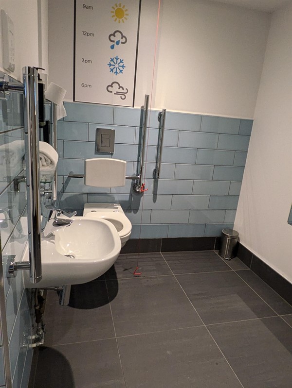 Image of toilet and sink in accessible toilet