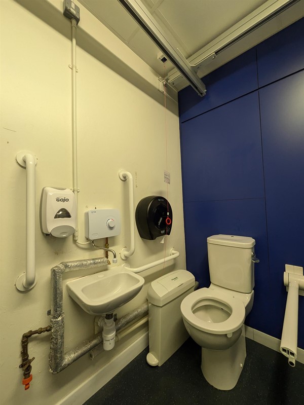 Image of sink and toilet in the Changing Places toilet