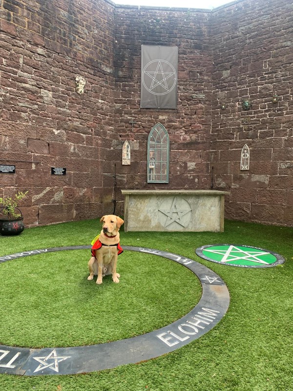 Assistance dog in a magic protective circle