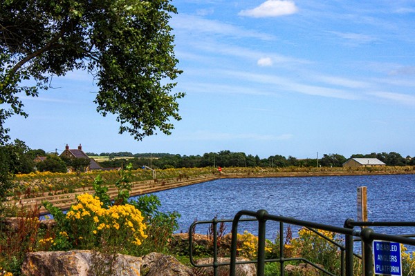 View from the accessible fishing area, looking out across the dam, with the walk on the left.