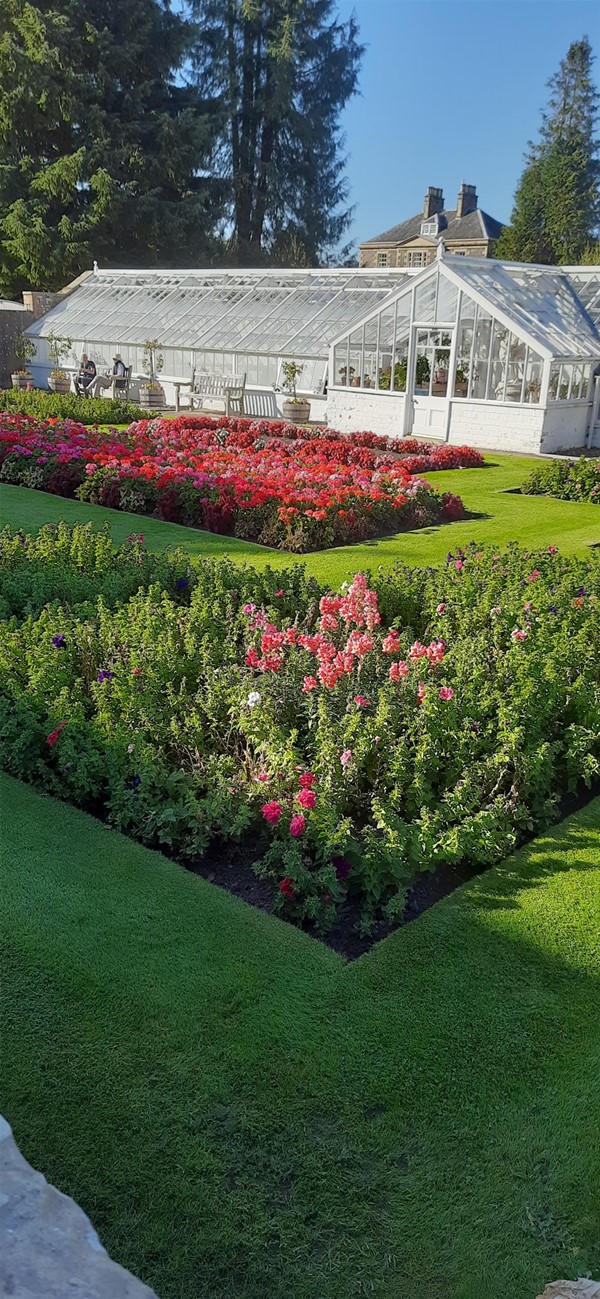 Image of a greenhouse