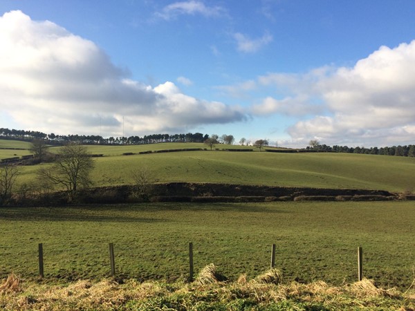 View from the car park.