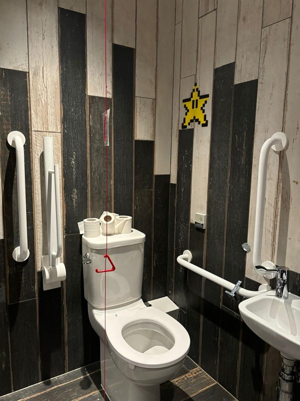 Image of an accessible toilet