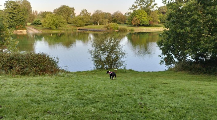 Coate Water Country Park