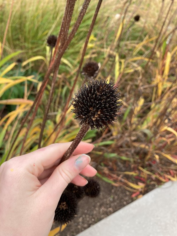 Sensory garden touch