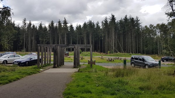 Picture of Devilla Forest Trail, Alloa