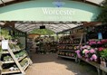 Image of a store with many shelves of flowers