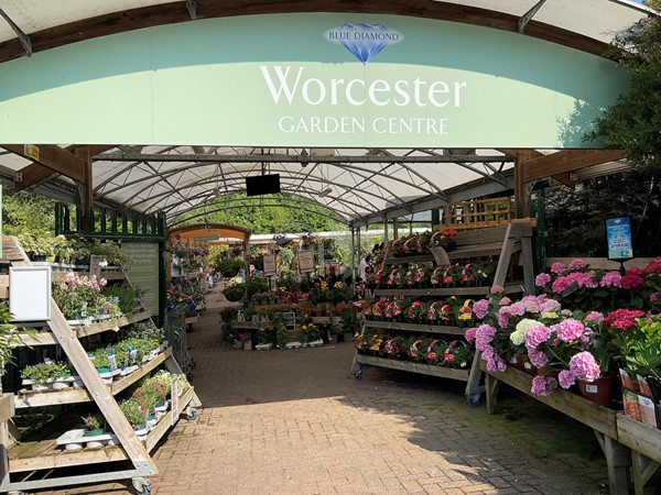 Image of a store with many shelves of flowers