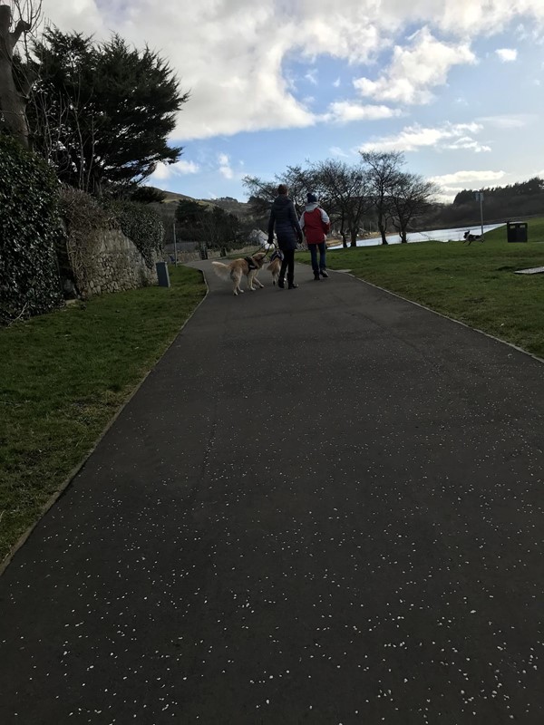 Newer tarmac section of footpath