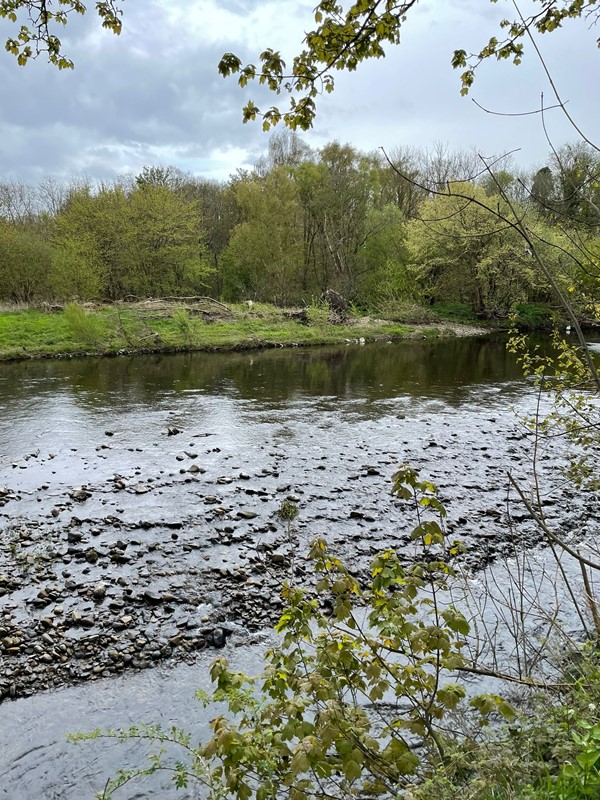 Image of Low Barns Nature Reserve