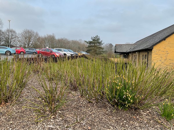 Image from a distance of the car park.