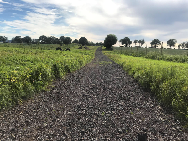 Image of the gravel area at the dog park and the grassy area at either side of the pathway.