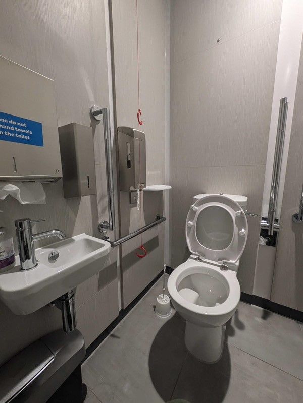 Image of the accessible toilet showing the toilet, grab rails, red cord, paper towel dispenser and the sink