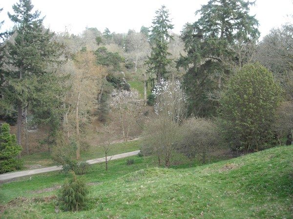 RHS Wakehurst