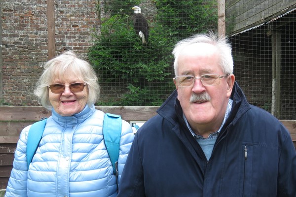 Picture of Lakeland Bird Of Prey Centre