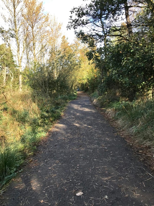 Lochore Meadows Country Park