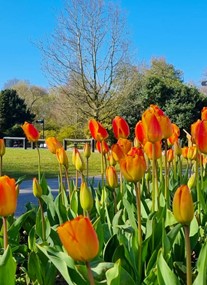 Walton Hall and Gardens