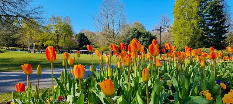 Walton Hall and Gardens