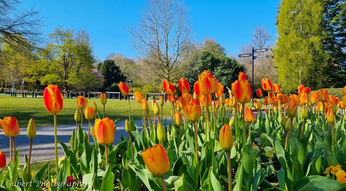 Walton Hall and Gardens