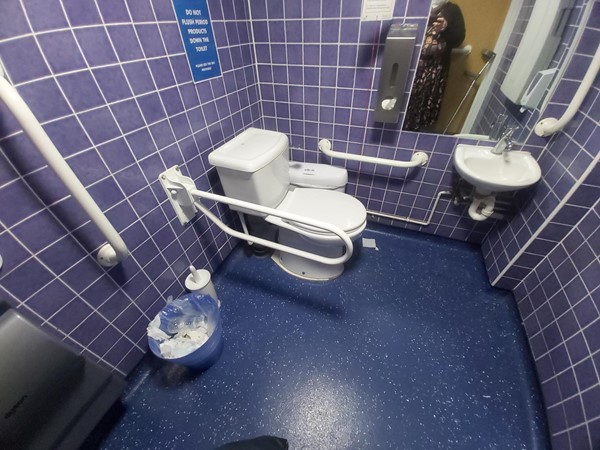 Accessible toilet