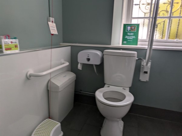 image of accessible toilet in the Andrew Carnegie Birth Museum