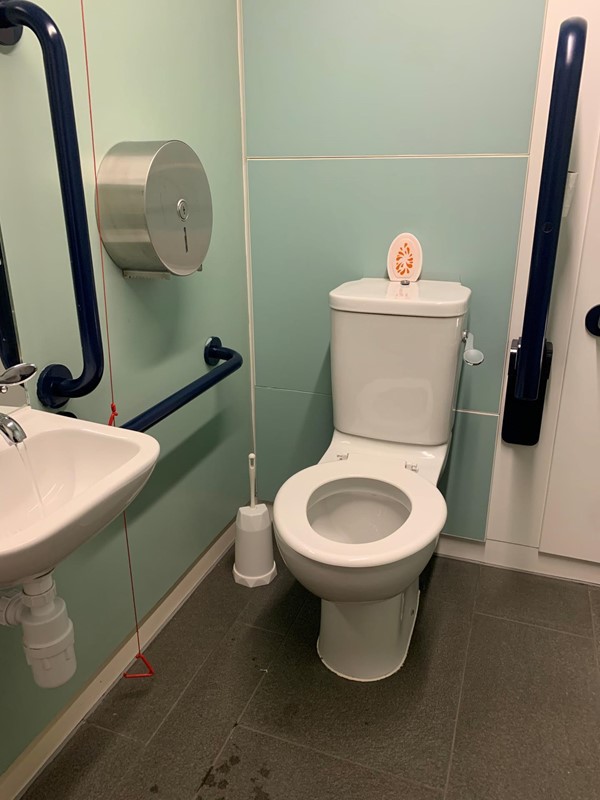 View of two handrails next to toilet and red cord that hangs to floor.