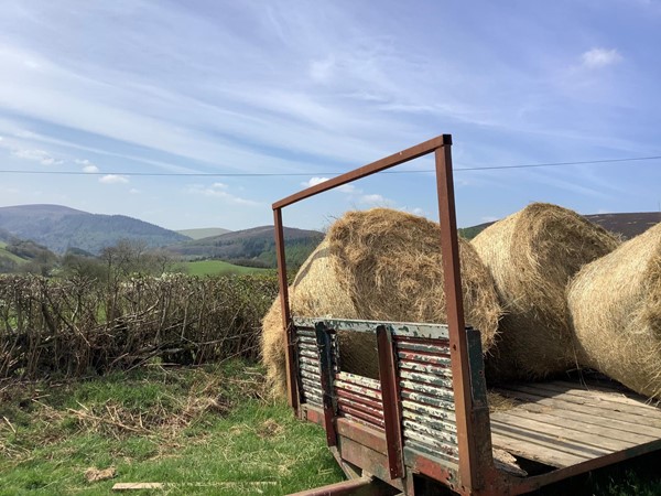 Picture of hay bails on a truck