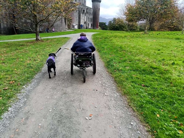 Lady in mountain trike with assistance dog climbing a slight hill on compacted gravel path.