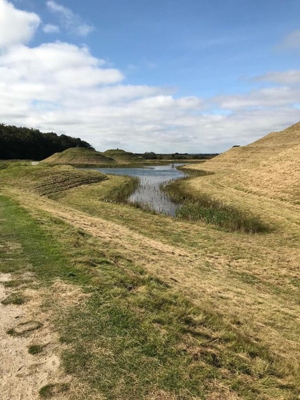 Picture of Northumberlandia