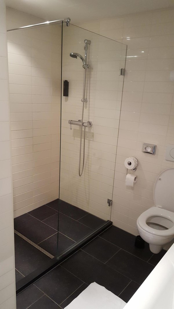 One of the hotel bathrooms with shower adn toilet.  See the short step into the shower.