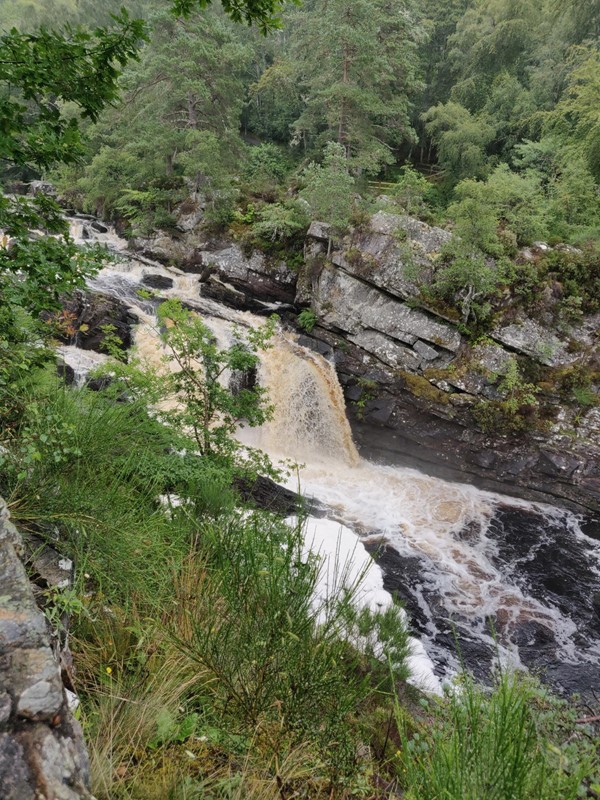 Picture of Rogie Falls