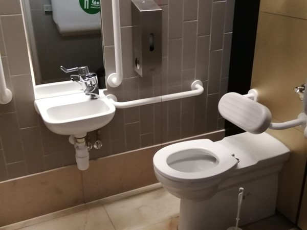 Picture of the accessible toilet