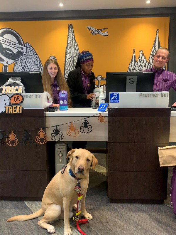 Picture of the reception desk with halloween decorations