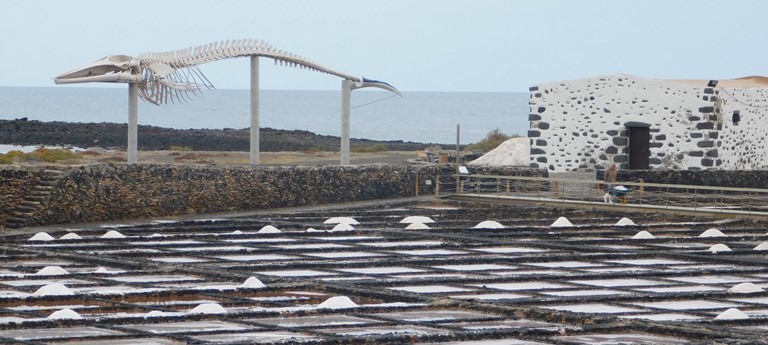 Salt Museum Salinas del Carmen