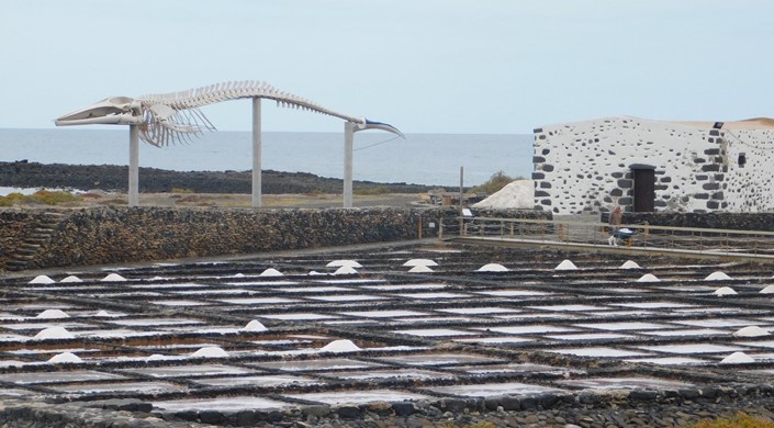 Salt Museum Salinas del Carmen