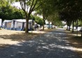 Picture of Camping de l'Ile d'Or, Amboise