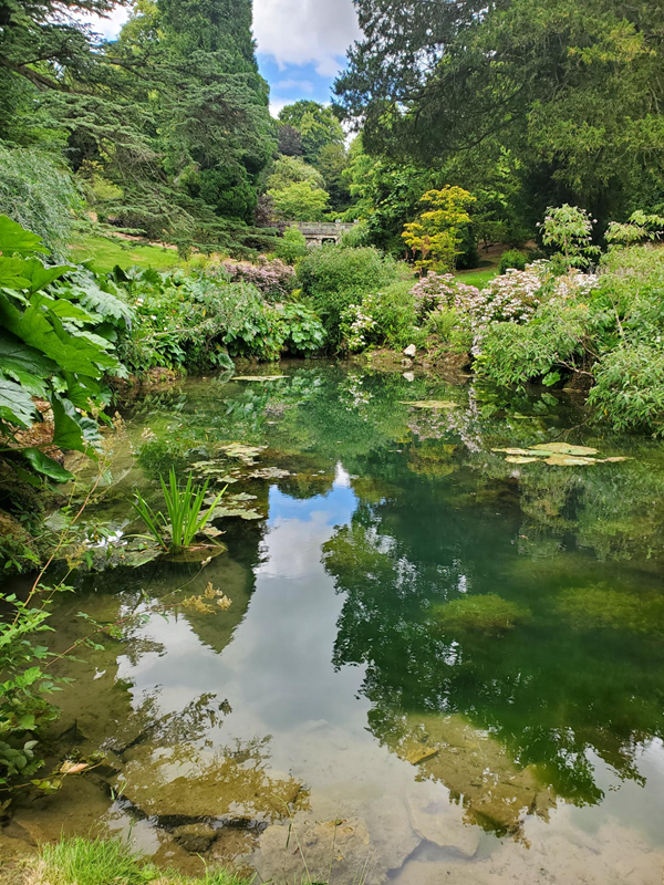 Picture of an ornamental pond